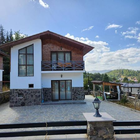 Villa In Mountains Bakuriani Eksteriør billede