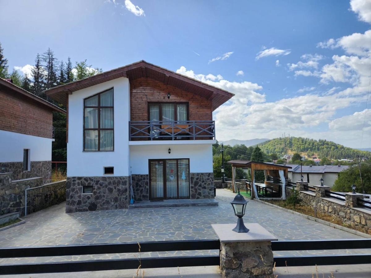 Villa In Mountains Bakuriani Eksteriør billede