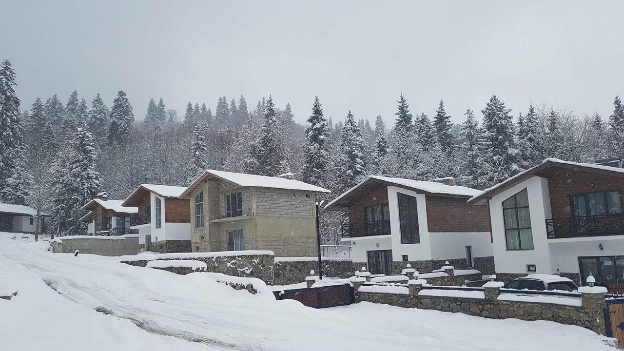 Villa In Mountains Bakuriani Eksteriør billede