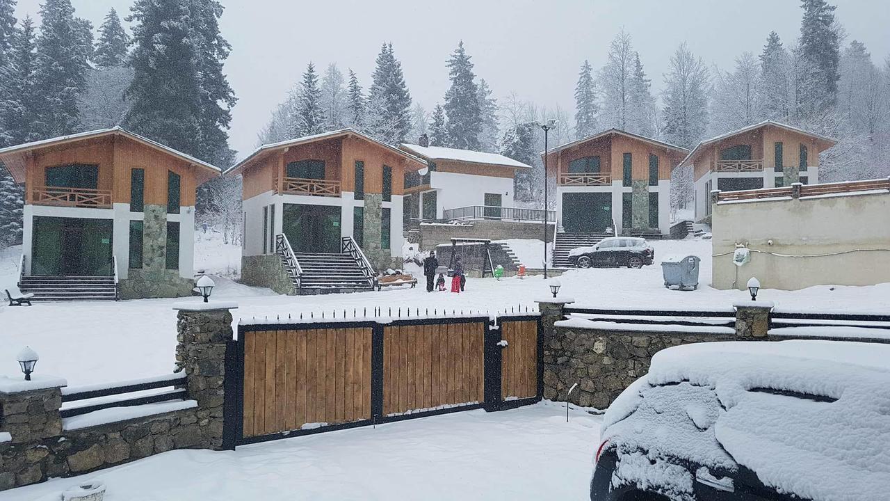 Villa In Mountains Bakuriani Eksteriør billede