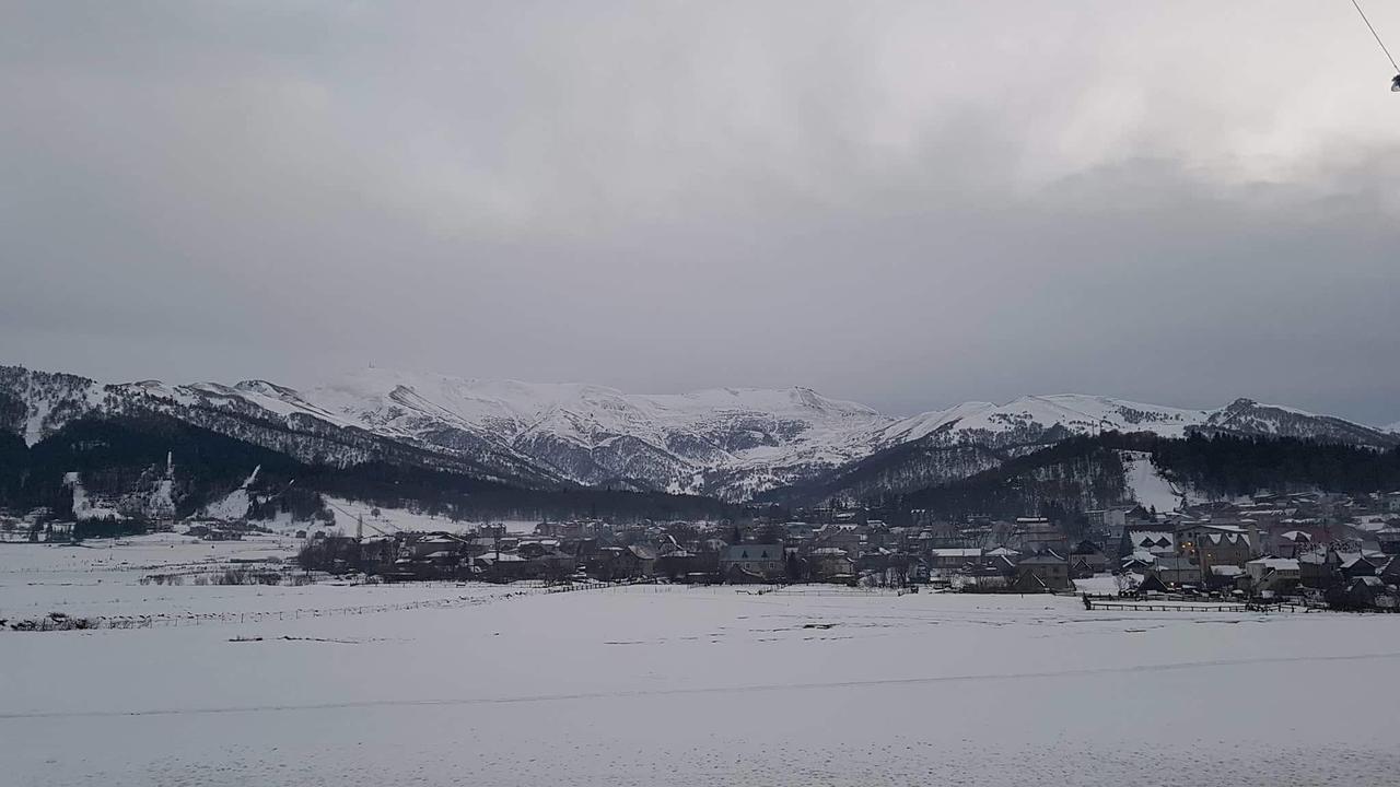 Villa In Mountains Bakuriani Eksteriør billede
