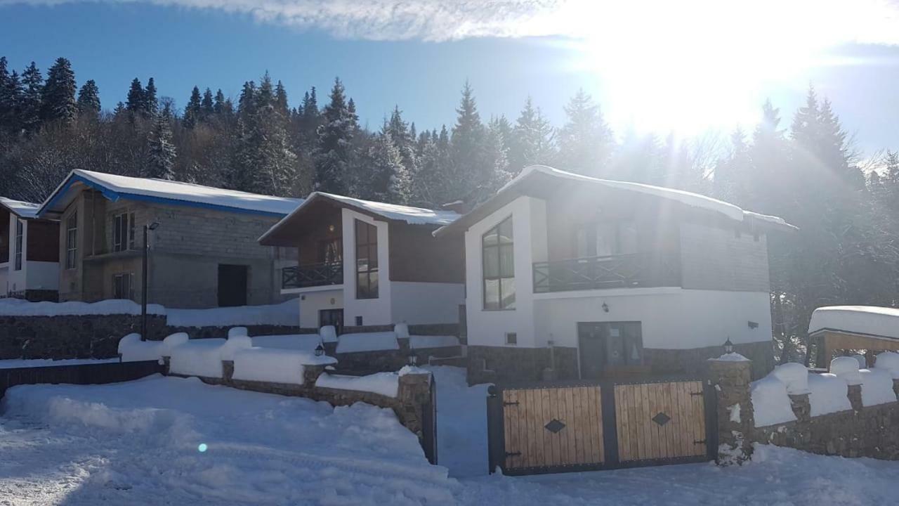 Villa In Mountains Bakuriani Eksteriør billede